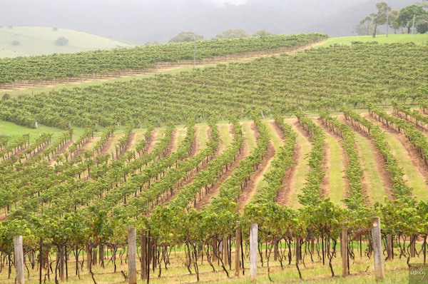 AustraliaEast 10  075